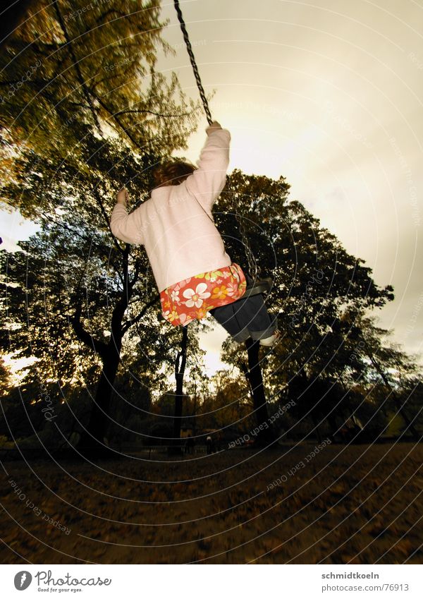 schaukeln Kind Spielen Spielplatz springen Wald Blatt Herbst Schaukel Alkoholisiert Freude Kette