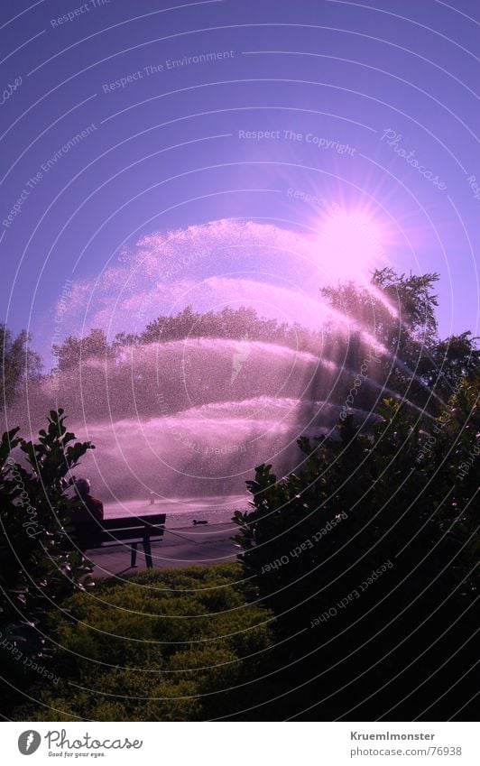 Pinke Wasserfontäne rosa Himmel Sonne Sonnenlicht Sonnenbad außergewöhnlich Baum Sträucher Schattenspiel Sonnenstrahlen Licht Wassertropfen erstarren Herbst