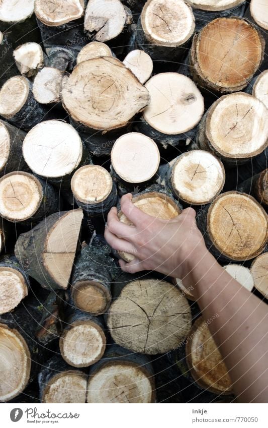 Wird schon schiefgehen Erwachsene Leben Hand Frauenhand 1 Mensch Baum Baumstamm Holzstapel Baumscheibe Kreis festhalten liegen nachhaltig viele braun Gefühle