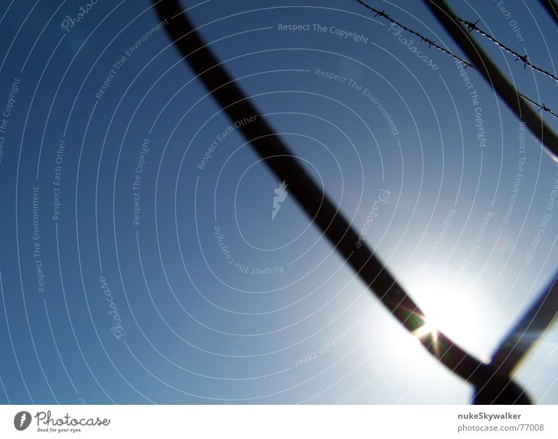 Bald draussen Stacheldraht Maschendraht Zaun Gegenlicht grell gefangen Grenze Sonne blau Freiheit Lichtblick