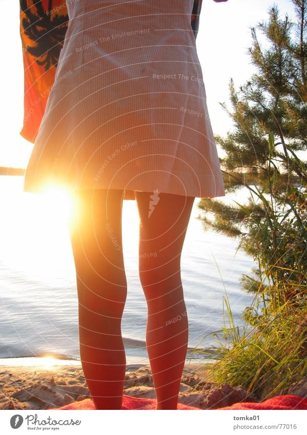 Beinfreiheit See Brandenburg Strand Sonnenuntergang Frau Sommer Außenaufnahme Abendsonne Geborgenheit nackt Kleid Handtuch Ferien & Urlaub & Reisen Licht