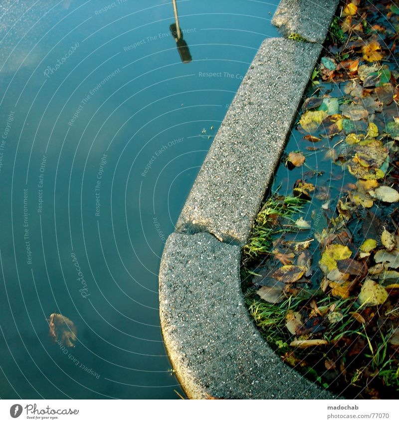 SKYDIVE | herbst autumn pfütze puddle fall romantik traum dream Pfütze Himmel Luft Herbst Blatt feucht dunkel falsch träumen Laterne Lampe Bordsteinkante