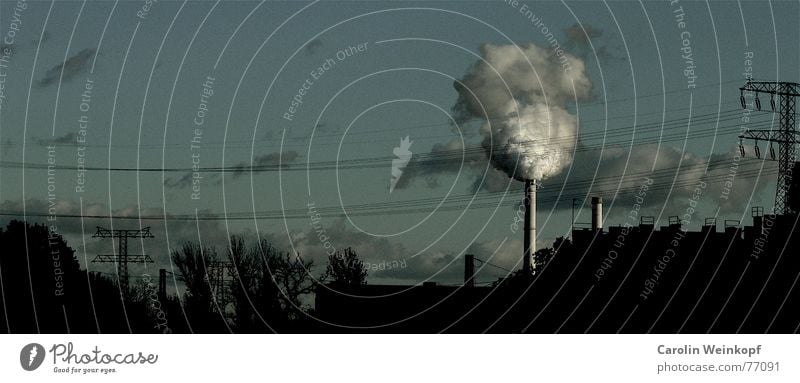 Rauch ist die Zuckerwatte der Zivilisation. Lichtenberg Friedrichshain Treptow Wolken Strommast Baum Herbst Sehnsucht Ferne Berlin ostkreuz Stromkraftwerke