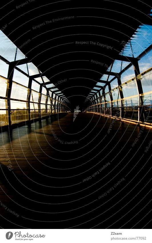 straightforward geradeaus Tunnel Holzfußboden Licht Linie Strukturen & Formen Perspektive Bodenbelag Sonne Schatten Himmel blau blue Gang