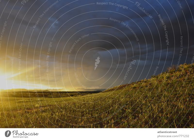 Sonnenuntergang mit Gewitter, Namibia Natur Landschaft Gewitterwolken Sonnenaufgang Sonnenlicht Gras Wiese Hügel Wüste Einsamkeit Ferien & Urlaub & Reisen