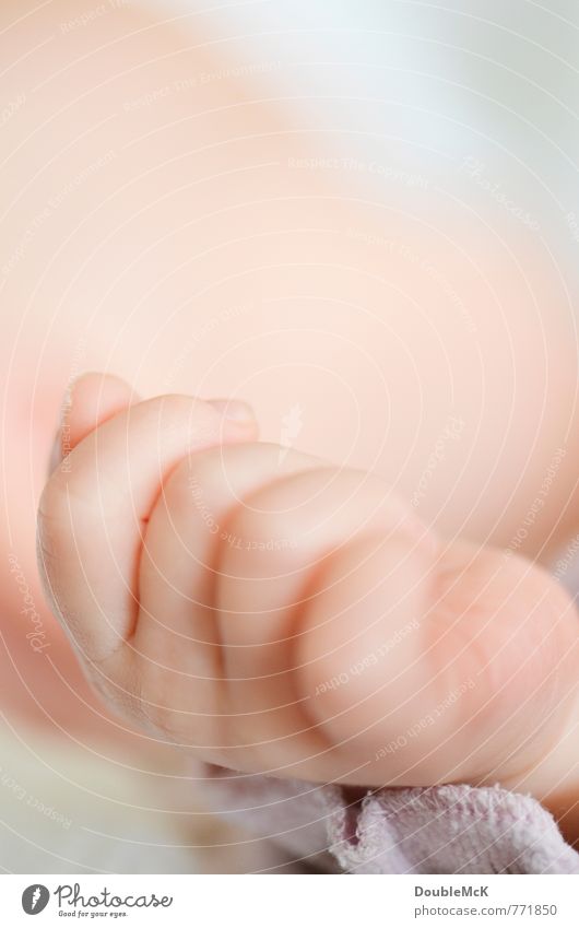 Handlich Baby Finger 1 Mensch 0-12 Monate Erholung festhalten liegen Glück klein nah niedlich oben positiv rosa Kraft Gelassenheit ruhig Kindheit Zufriedenheit