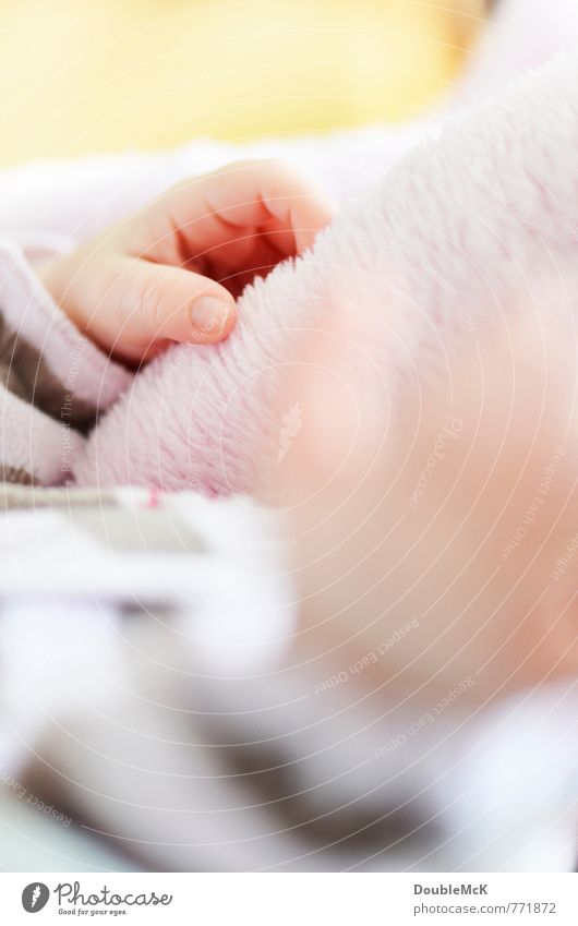 Hand drauf Baby 1 Mensch 0-12 Monate berühren Erholung liegen schlafen Glück klein nah natürlich niedlich positiv gelb rosa Warmherzigkeit Kindheit ruhig