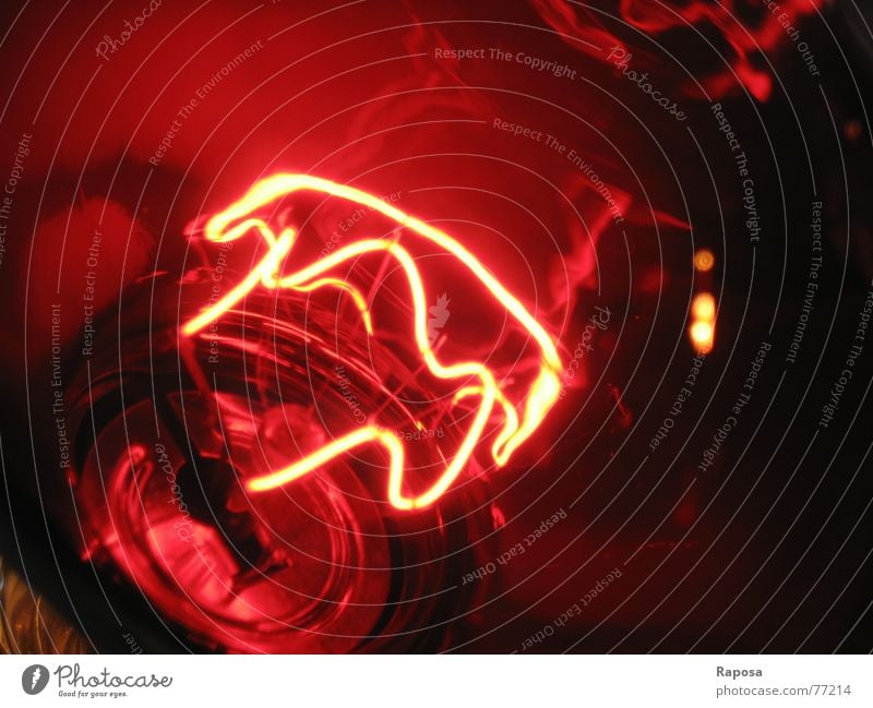 lightshow No.2 Lampe Rotlichtlampe rot Elektrisches Gerät elektrisch Glühbirne Elektrizität Draht Licht Kabel an aus Wärme führen