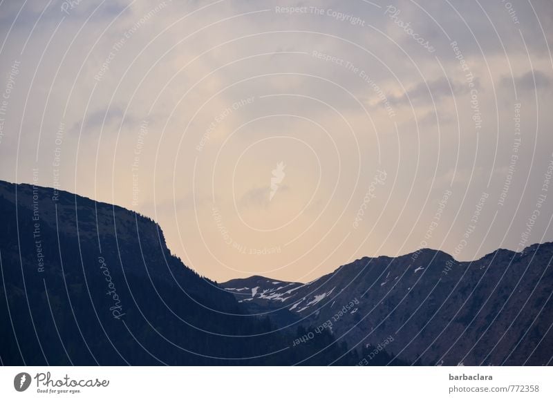 Guten Abend Natur Landschaft Urelemente Erde Himmel Sonnenlicht Schönes Wetter Alpen Berge u. Gebirge Schneebedeckte Gipfel dunkel groß hell Energie Freiheit