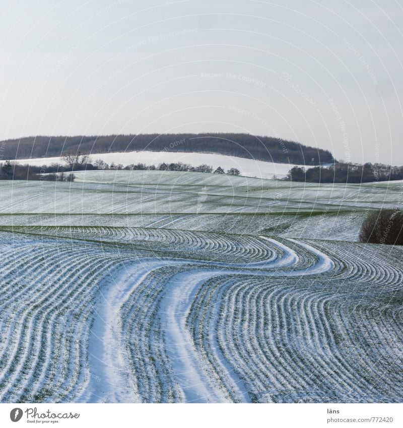 don't drink and drive Winter Schnee Umwelt Natur Landschaft Himmel Eis Frost Feld kalt Beginn anstrengen Spuren Linie Streifen Farbfoto Muster