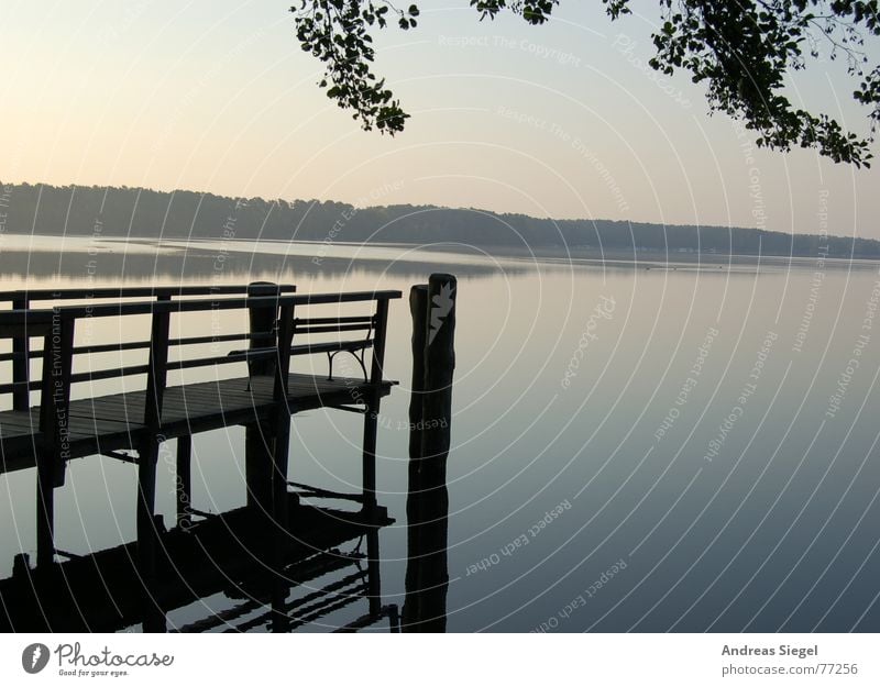 Morgens am See heimelig Steg kalt Romantik Reflexion & Spiegelung Baum Blatt Anlegestelle frisch Hölzerner See Silhouette Nebelschleier Schleier Gefühle