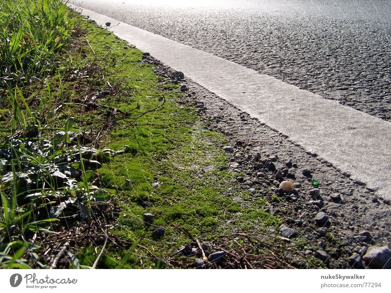 Bring mich ins Licht Wegrand Asphalt Scherbe diagonal schwarz grün Straßenrand Ecke Teer Gegenlicht Fahrbahnmarkierung grell Verkehrswege Makroaufnahme