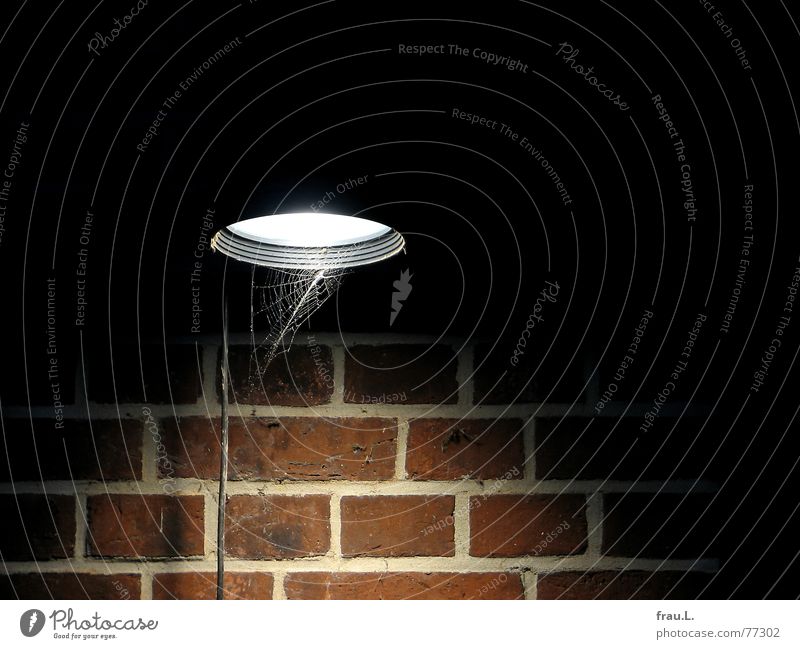 Lichtkegel Spinnennetz Kabel Lampe Wind Backstein Wand Nacht Elektrizität Windböe Mauer Industrie Dinge alte rinderschlachthalle außenwand rotklinker