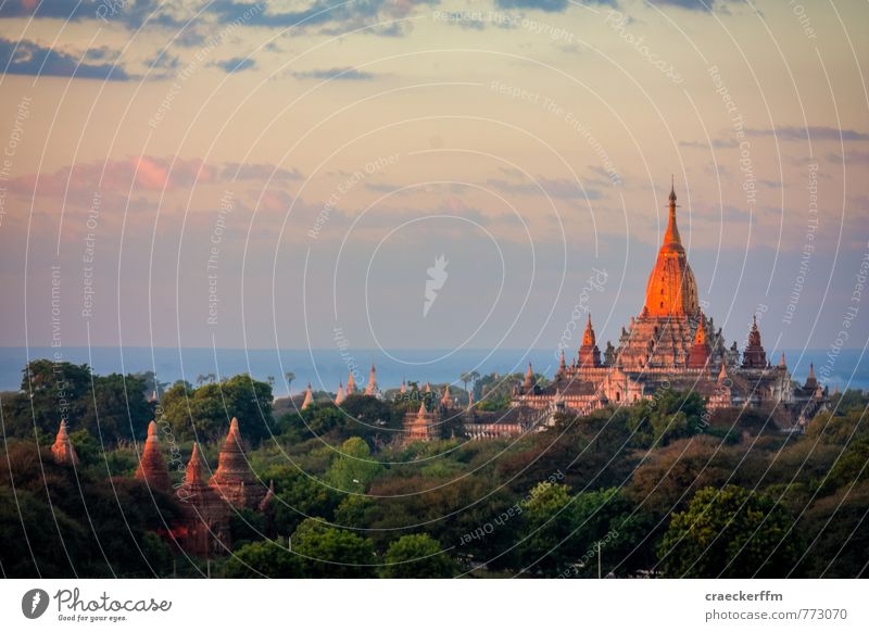 Stupa Ferien & Urlaub & Reisen Tourismus Abenteuer Ferne Sightseeing Kultur Wolken Schönes Wetter Wald Bagan Myanmar Menschenleer ästhetisch authentisch