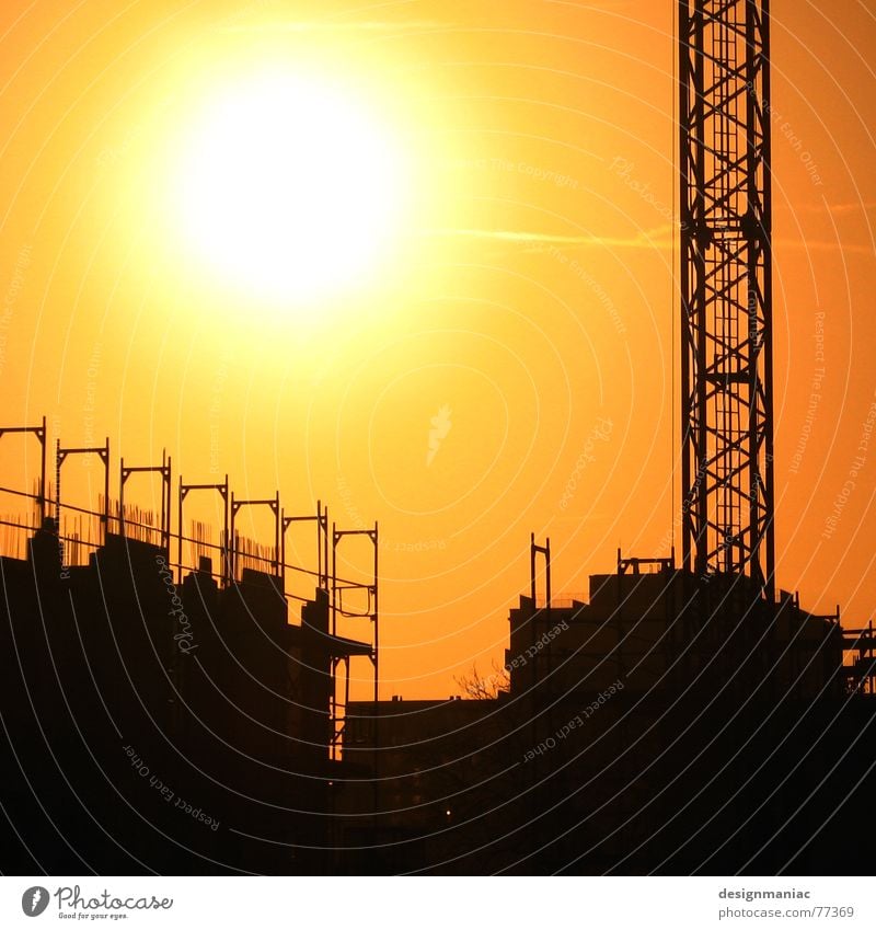 41 Grad Gegenlicht Licht Kran schwarz gelb Baustelle Haus Arbeit & Erwerbstätigkeit parallel heiß Physik Frankfurt am Main Europa Stab Hausbau orange Sonne hell