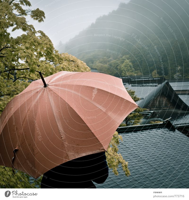 regenschirm Mensch feminin Junge Frau Jugendliche Erwachsene schlechtes Wetter Unwetter Nebel Regen Baum Wald Hügel Berge u. Gebirge nass Regenschirm Asien