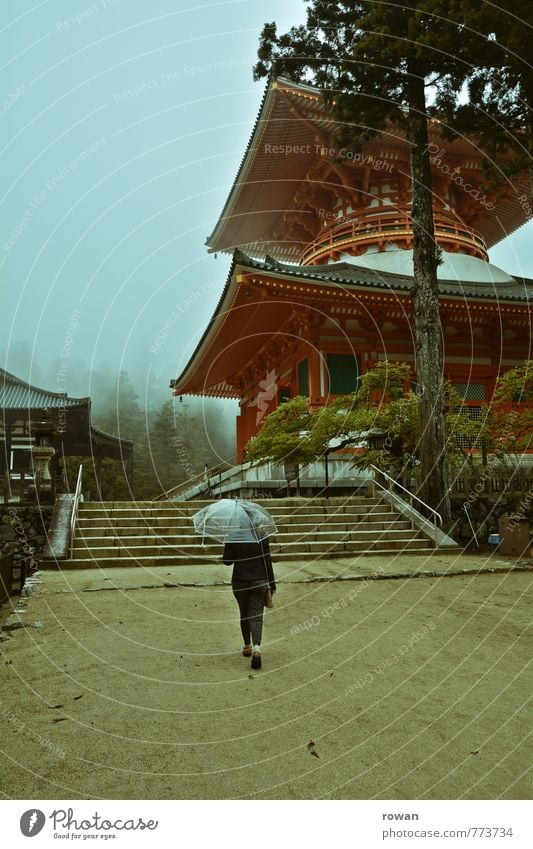 danjo garan Natur schlechtes Wetter Unwetter Nebel Regen Baum exotisch Pagode Tempel Japan Regenschirm Romantik Religion & Glaube Buddhismus Spaziergang