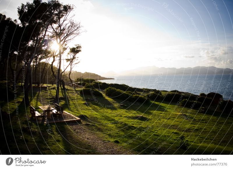 my resting place Wiese Rastplatz ruhig Sonnenuntergang Strand Meer Wolken Gegenlicht Tisch Baum Platz Mallorca chill entspann Bank