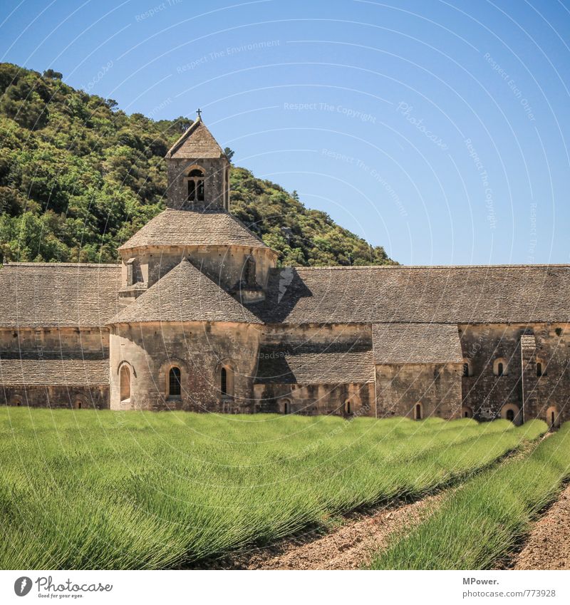 Abbaye de Sènanque Natur Himmel Wolkenloser Himmel Schönes Wetter Wiese Feld Berge u. Gebirge Bauwerk Gebäude Architektur Sehenswürdigkeit Wahrzeichen Denkmal