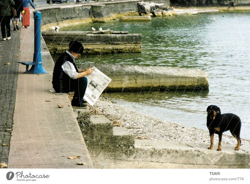 Alter man mit Zeitung Mann Hund Fototechnik