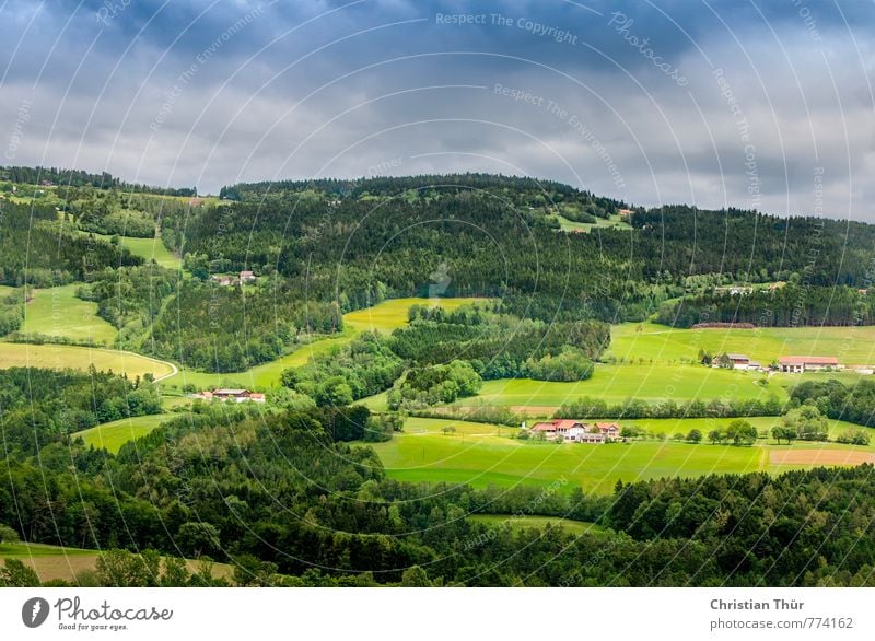 Hügelland / Pöllau Erholung Ferien & Urlaub & Reisen Tourismus Ausflug Abenteuer Ferne Freiheit Sightseeing Sommer Berge u. Gebirge wandern Umwelt Natur