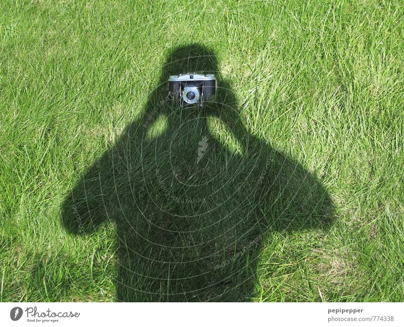 self-portrait Sommer Fotokamera maskulin Körper 1 Mensch Gras Garten außergewöhnlich Originalität grau grün Idee Mittelpunkt Nostalgie Surrealismus Fotografie