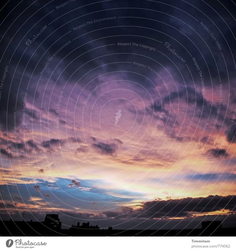 Guten Abend, gute Nacht! Himmel Gewitterwolken Sonnenlicht Heidelberg Haus blau rosa schwarz Gefühle Unbehagen bedrohlich Unwetter Farbfoto Außenaufnahme