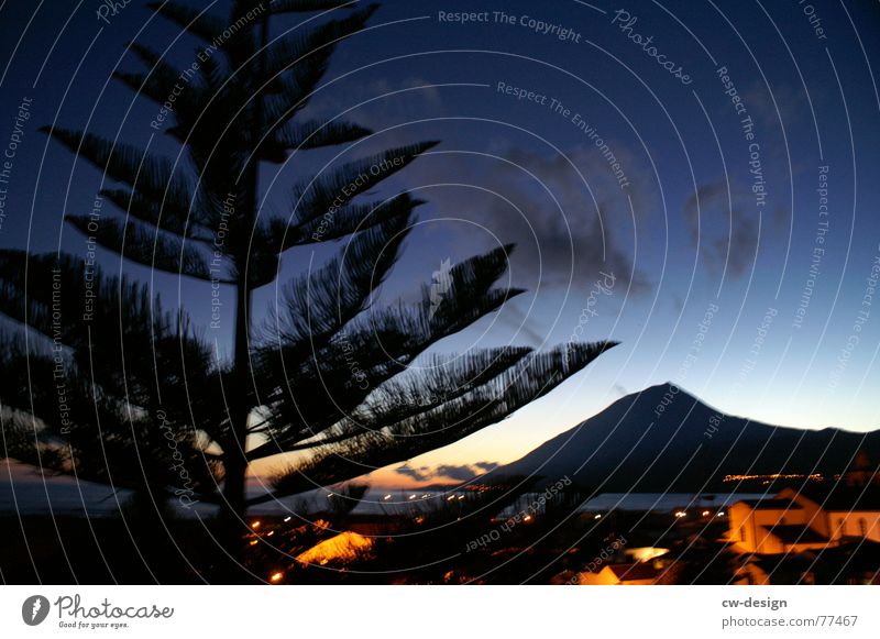 it's time for ... Pico Habichtsinseln Ponta do Pico Sonnenuntergang Lava Stein Abenddämmerung Azoren Wasser Hügel Gegenlicht Dämmerung Sonnenaufgang Baum Stadt