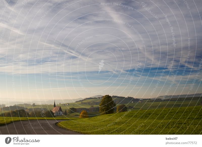 schwüler Herbstnachmittag am Land Wiese Landstraße Panorama (Aussicht) Horizont Ferne Fußweg Himmel Landschaft Religion & Glaube Nebel Wege & Pfade Spaziergang