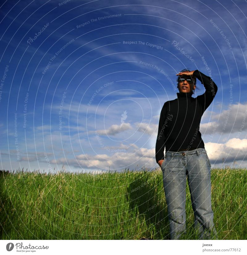 Fernweh schön Ferne Freiheit Junge Frau Jugendliche Erwachsene Landschaft Himmel Wolken Schönes Wetter Gras Wiese Jeanshose Pullover Sonnenbrille dunkel hoch