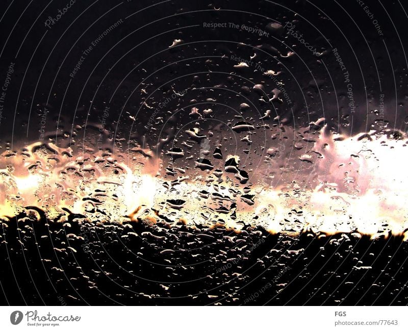 Novembertag #1 harmonisch Wohlgefühl Zufriedenheit ruhig Wassertropfen Herbst schlechtes Wetter Regen Worms Fenster Glas ästhetisch exotisch fantastisch nass