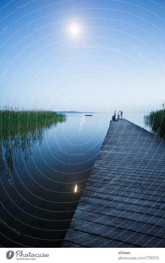 Mondscheinsteg #1 Menschengruppe Natur Wasser Vollmond Frühling Schilfrohr Seeufer Schwimmen & Baden frieren glänzend außergewöhnlich Zusammensein Unendlichkeit