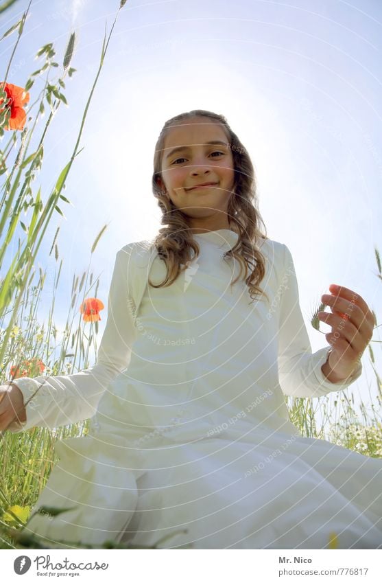 blonder engel feminin Mädchen 1 Mensch 8-13 Jahre Kind Kindheit Umwelt Natur Wolkenloser Himmel Sommer Schönes Wetter Pflanze Blume Gras Sträucher Garten Wiese