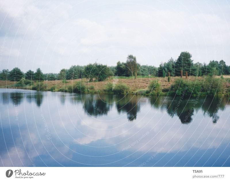 Spiegel der Natur Reflexion & Spiegelung See grün Heide Wasser