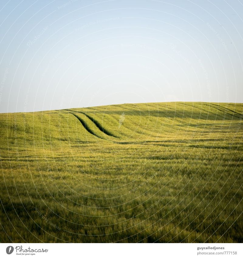 Fine Lines Umwelt Natur Landschaft Himmel Horizont Sommer Schönes Wetter Gras Nutzpflanze Feld Hügel Zufriedenheit Fernweh Abenteuer ästhetisch Erholung