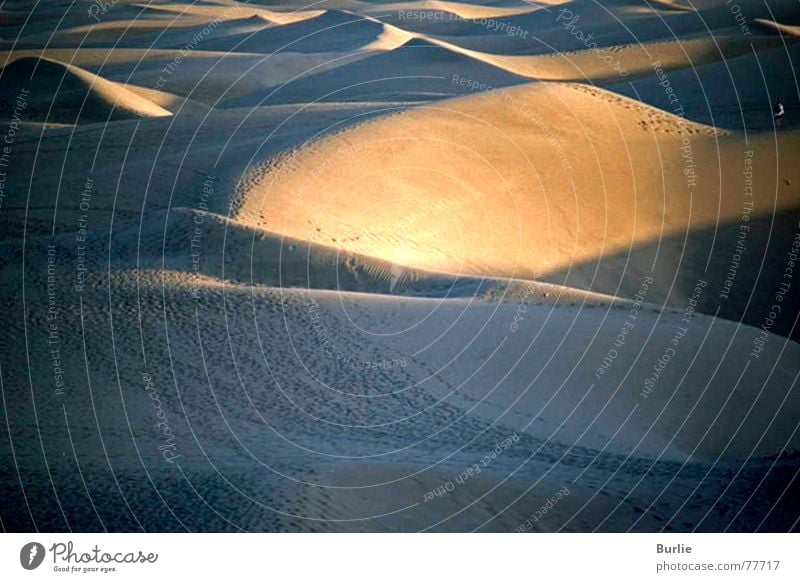 Dünenmeer Physik Unendlichkeit heiß Licht Lichtspiel Glut Stranddüne Sand Wärme Sonne Schatten