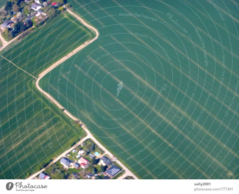 Wege die verbinden... Landschaft Erde Frühling Schönes Wetter Getreidefeld Feld Dorf Verkehrswege Wege & Pfade Wegkreuzung Fußweg Flugzeugausblick grün