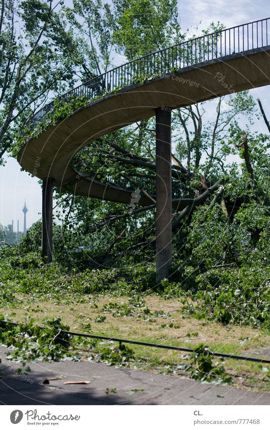 nach dem sturm Umwelt Natur Landschaft Sommer Klima Klimawandel Wetter Unwetter Wind Sturm Baum Düsseldorf Stadt Brücke Bauwerk Verkehr bedrohlich kaputt Angst