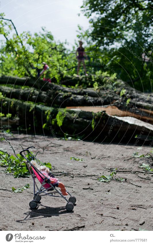 nach dem sturm Kind Umwelt Natur Landschaft Urelemente Erde Sommer Klima Klimawandel Wetter Unwetter Wind Sturm Baum Sträucher Park bedrohlich Sicherheit Angst