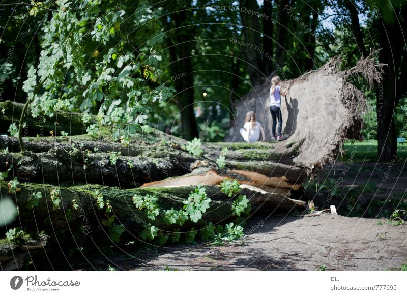 nach dem sturm Spielen Mensch Kind 2 8-13 Jahre Kindheit Umwelt Natur Landschaft Urelemente Erde Sommer Klima Klimawandel Wetter Unwetter Wind Sturm Baum Park