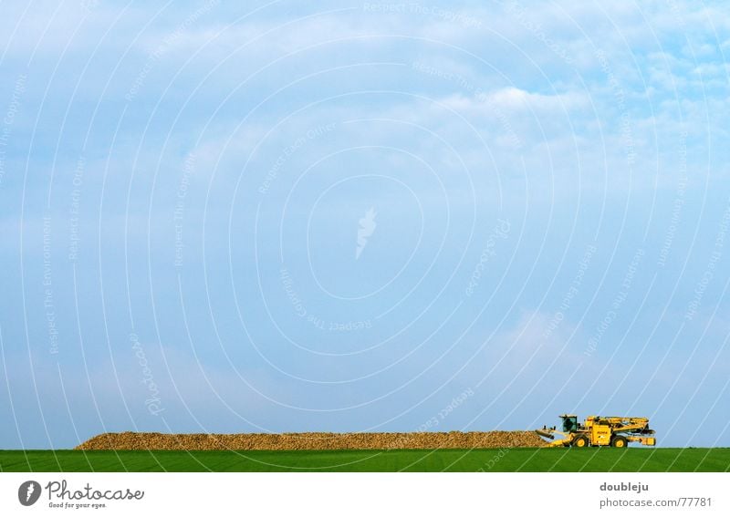 rübezahl Feld Rüben Landwirtschaft Maschine laden verarbeiten Herbst Arbeit & Erwerbstätigkeit sortieren Fahrzeug Automatisierung Himmel Ernte