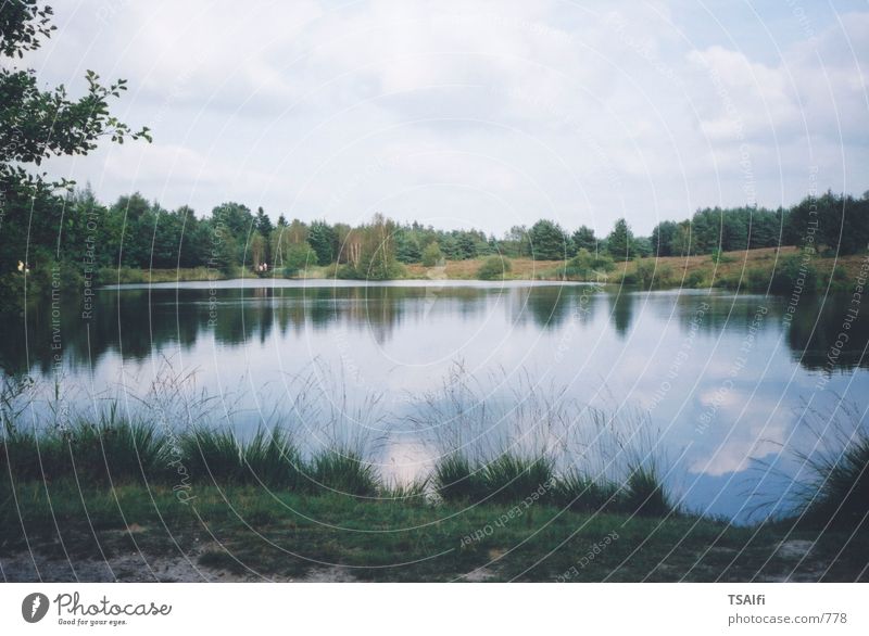 Idylle am See Wasser