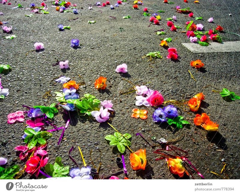 Karneval Berlin Dekoration & Verzierung Karnevel der Kulturen Karnevalskostüm Sambatänzer Parade Blume Blüte Müll Traurigkeit Rest Ende Blumenstrauß Strohblume