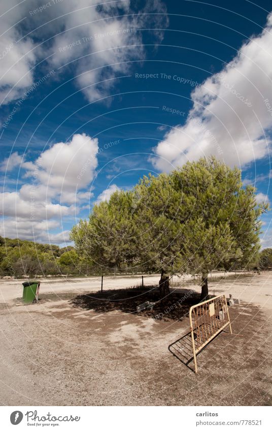 Saisonende Luft Wolken Sonnenlicht Sommer Schönes Wetter Wärme Baum ästhetisch Müllbehälter Absperrgitter Pinie Parkplatz blau weiß grün leer mediterran