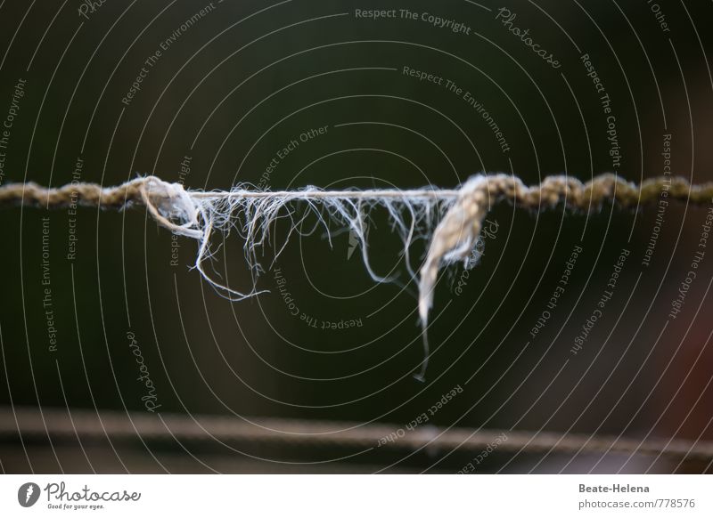 Alles hat seine Zeit Nachthimmel Linie bedrohlich kaputt Schnur Wäscheleine fadenförmig Zerreißen gespannt Zerstörung Haltbarkeit Riss Vergänglichkeit Ewigkeit