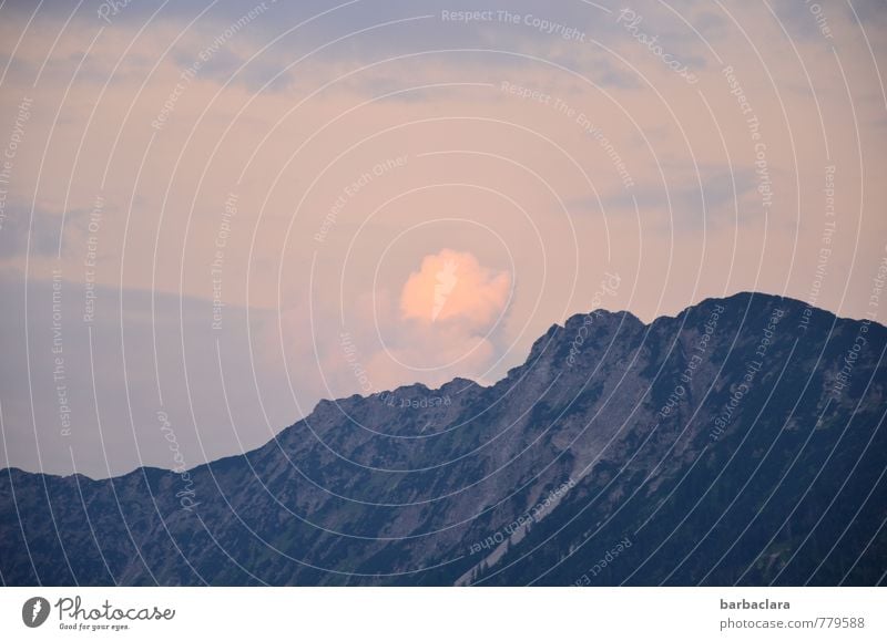 Abendwölkchen Ferien & Urlaub & Reisen Landschaft Himmel Wolken Sonnenaufgang Sonnenuntergang Klima Felsen Alpen Berge u. Gebirge Allgäuer Alpen Stimmung