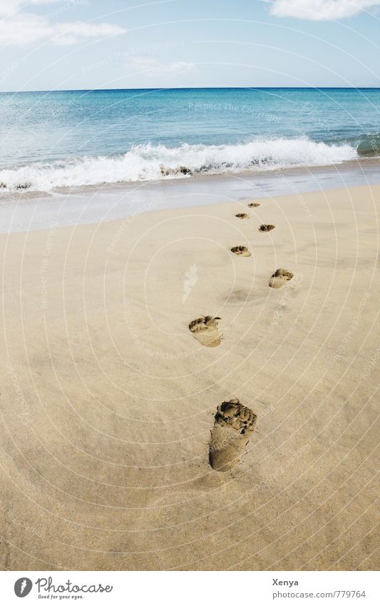 Spuren im Sand Ferien & Urlaub & Reisen Tourismus Sommer Sommerurlaub Sonnenbad Strand Meer Insel Wellen Himmel Wolken Horizont Wasser Erholung blau braun