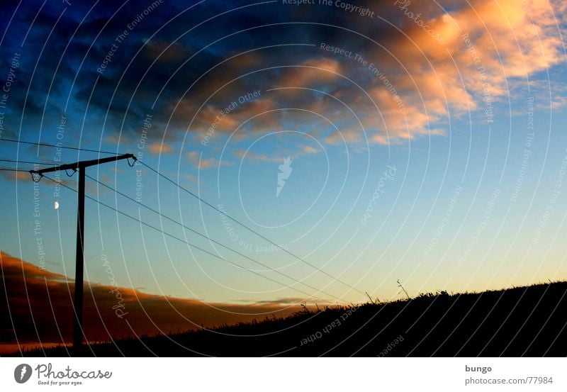 Leben Baum Wolken schlechtes Wetter dunkel bedrohlich Dämmerung Nacht Horizont Sonnenuntergang träumen Traumwelt Einsamkeit harmonisch Farbenspiel Romantik