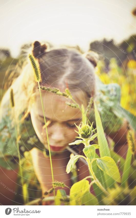 sommer 2013 feminin Kind Mädchen Kindheit Körper Haut Kopf Haare & Frisuren Gesicht Auge Nase Mund Mensch 8-13 Jahre Umwelt Natur Sommer Schönes Wetter Blume