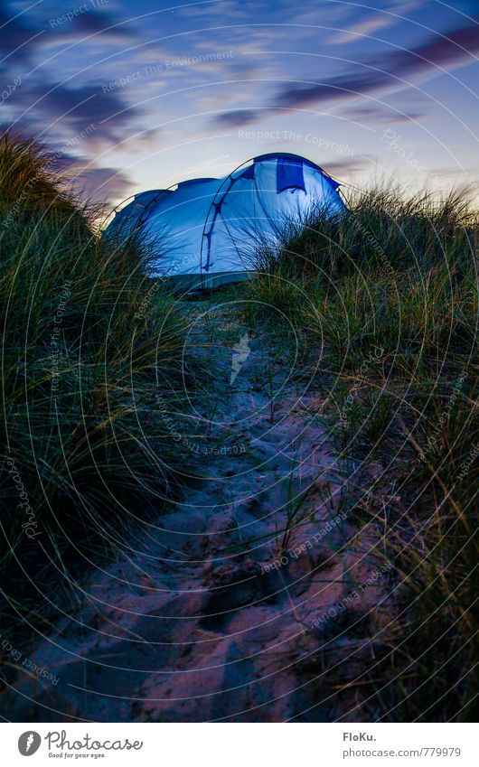 Zeltleuchten Ferien & Urlaub & Reisen Ausflug Abenteuer Ferne Freiheit Expedition Camping Sommerurlaub Umwelt Natur Pflanze Urelemente Erde Sand Himmel Wolken